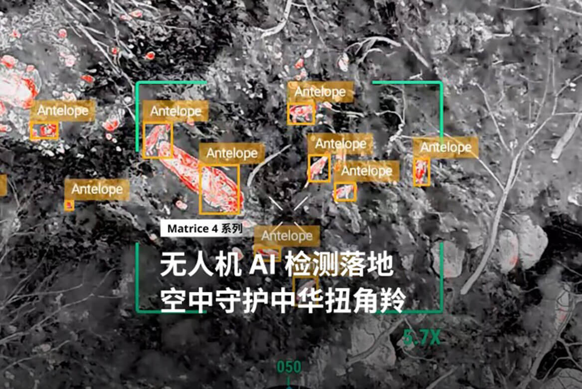 无人机野生动物保护监测方案展示